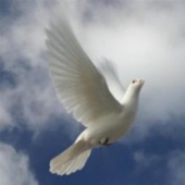 Obituary-img