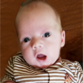 jace gibbs