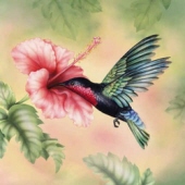 carolyn johnson
