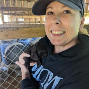 cindy harris Gallery