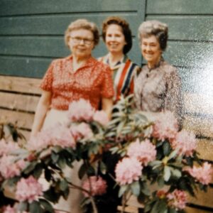 mary  odom Gallery
