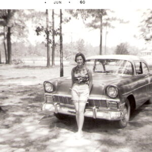 marjorie lewis Gallery
